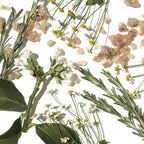 De-Stress Mind Bath And Shower Oil